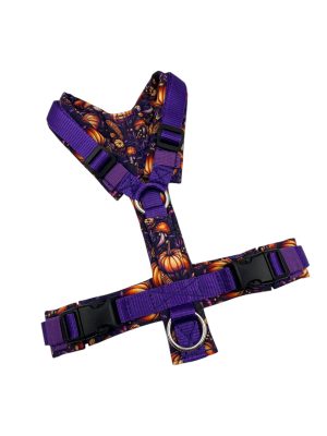 Y-Geschirr XS/S
